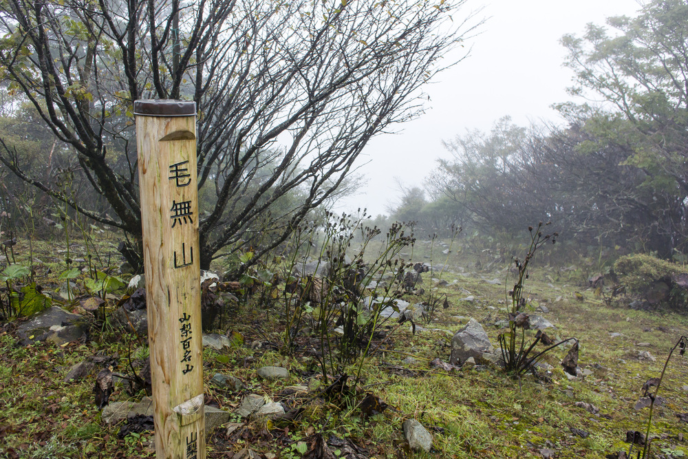 浩庵テント村→端足峠→雨ヶ岳→大見岳→毛無山-ピストンの写真4