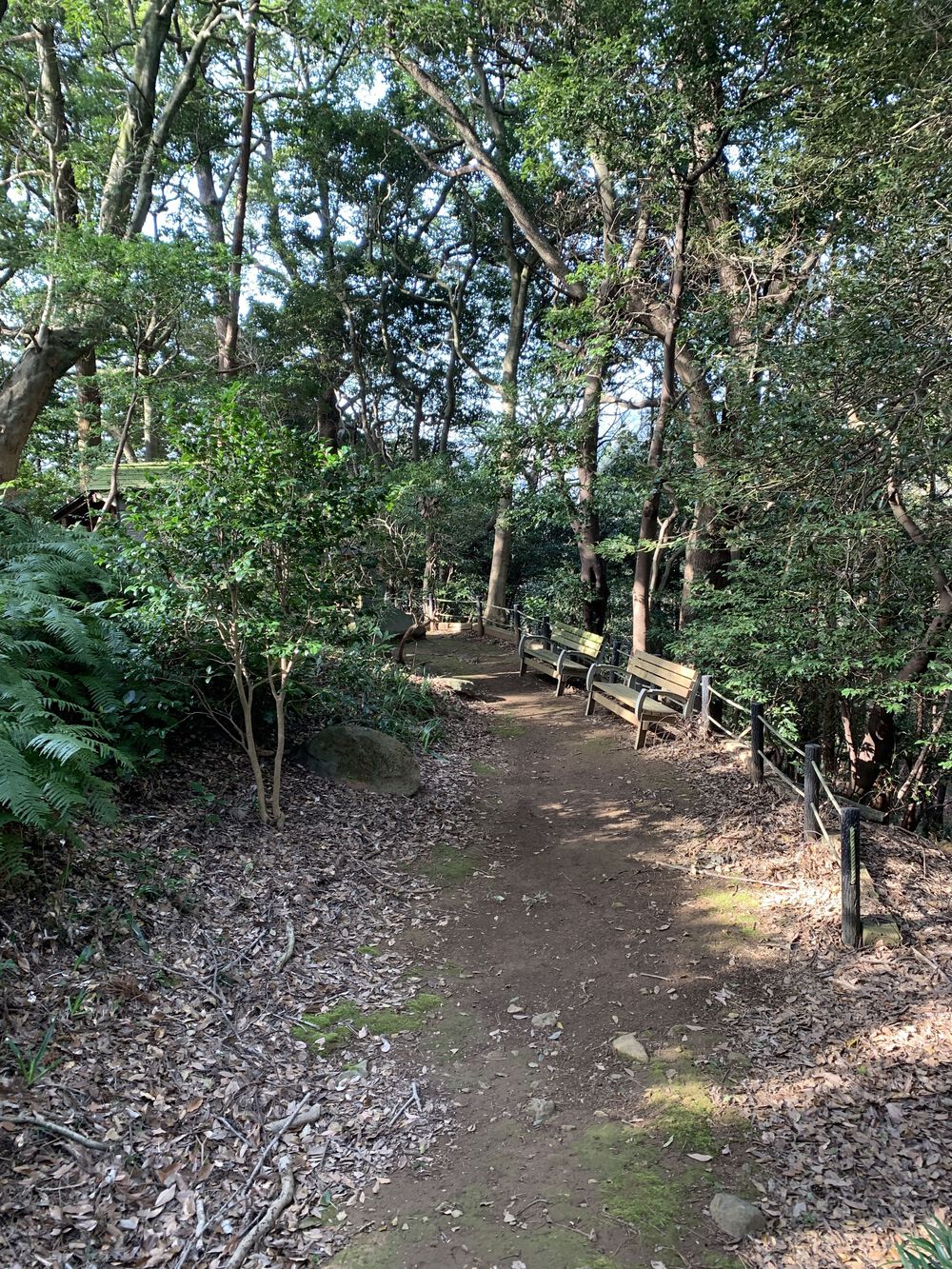 熱海　頼朝一杯水と絶景の写真3