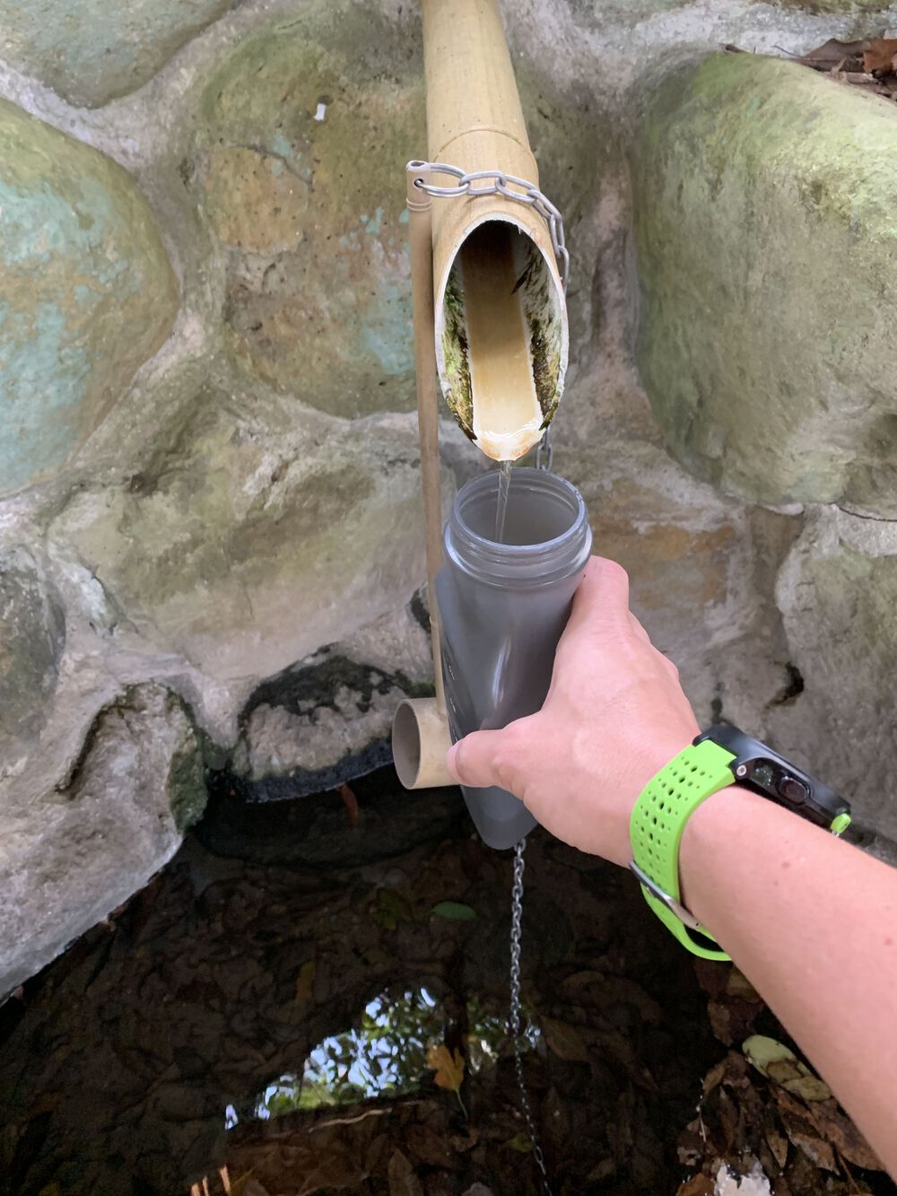 熱海　頼朝一杯水と絶景の写真5