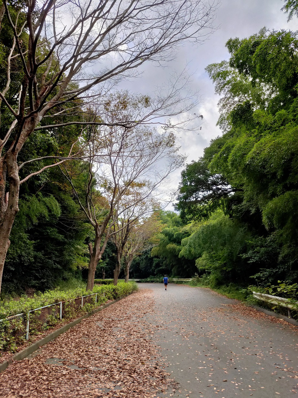 起伏にとんだクロスカントリーの写真3