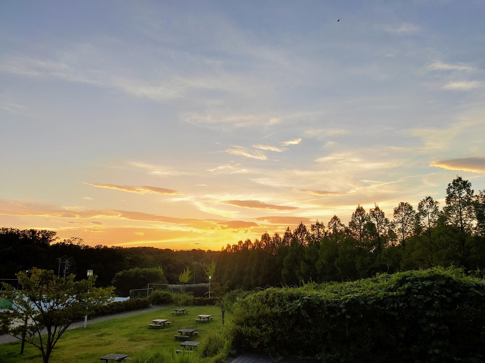 起伏にとんだクロスカントリーの写真4