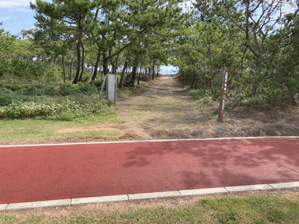 タータンの1km周回コースの写真6