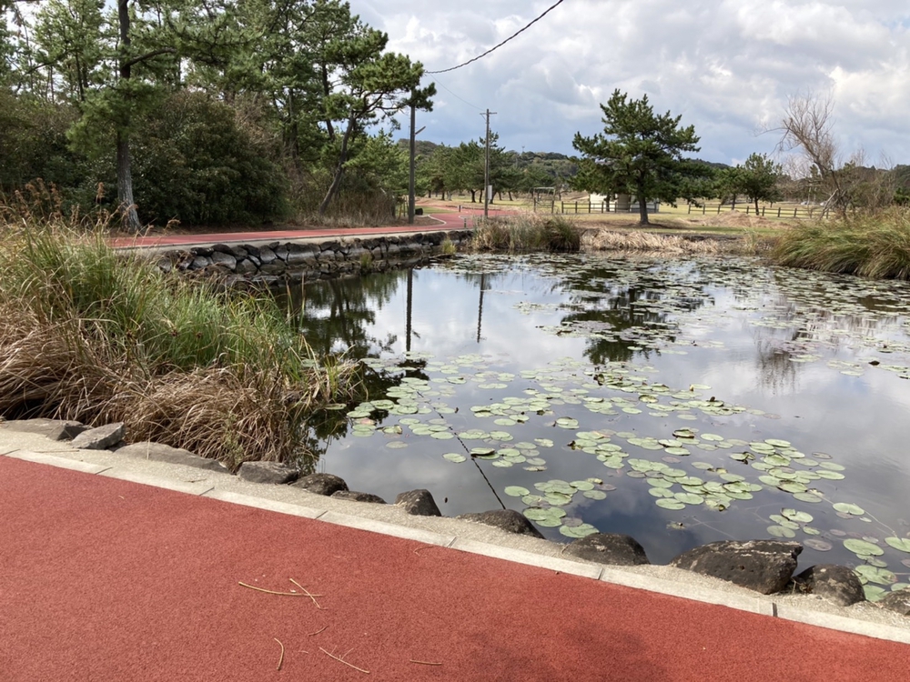 タータンの1km周回コースの写真7