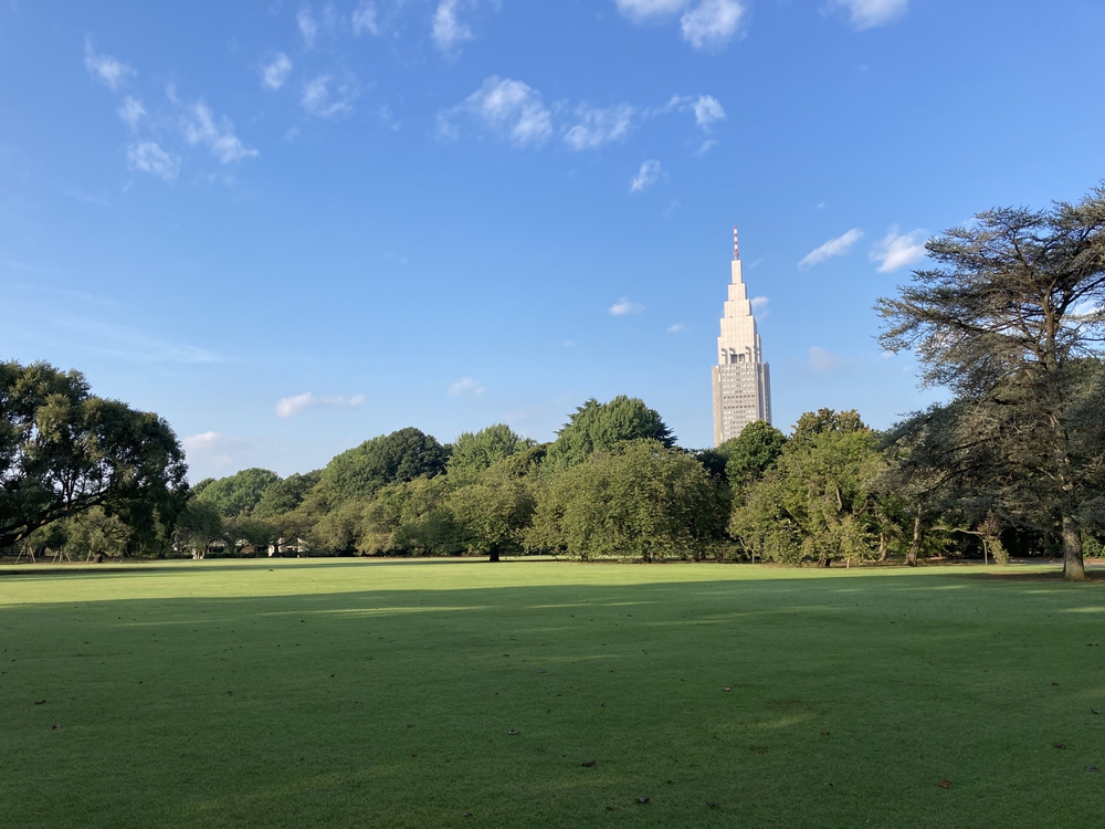 誰もいない朝の新宿御苑。の写真3