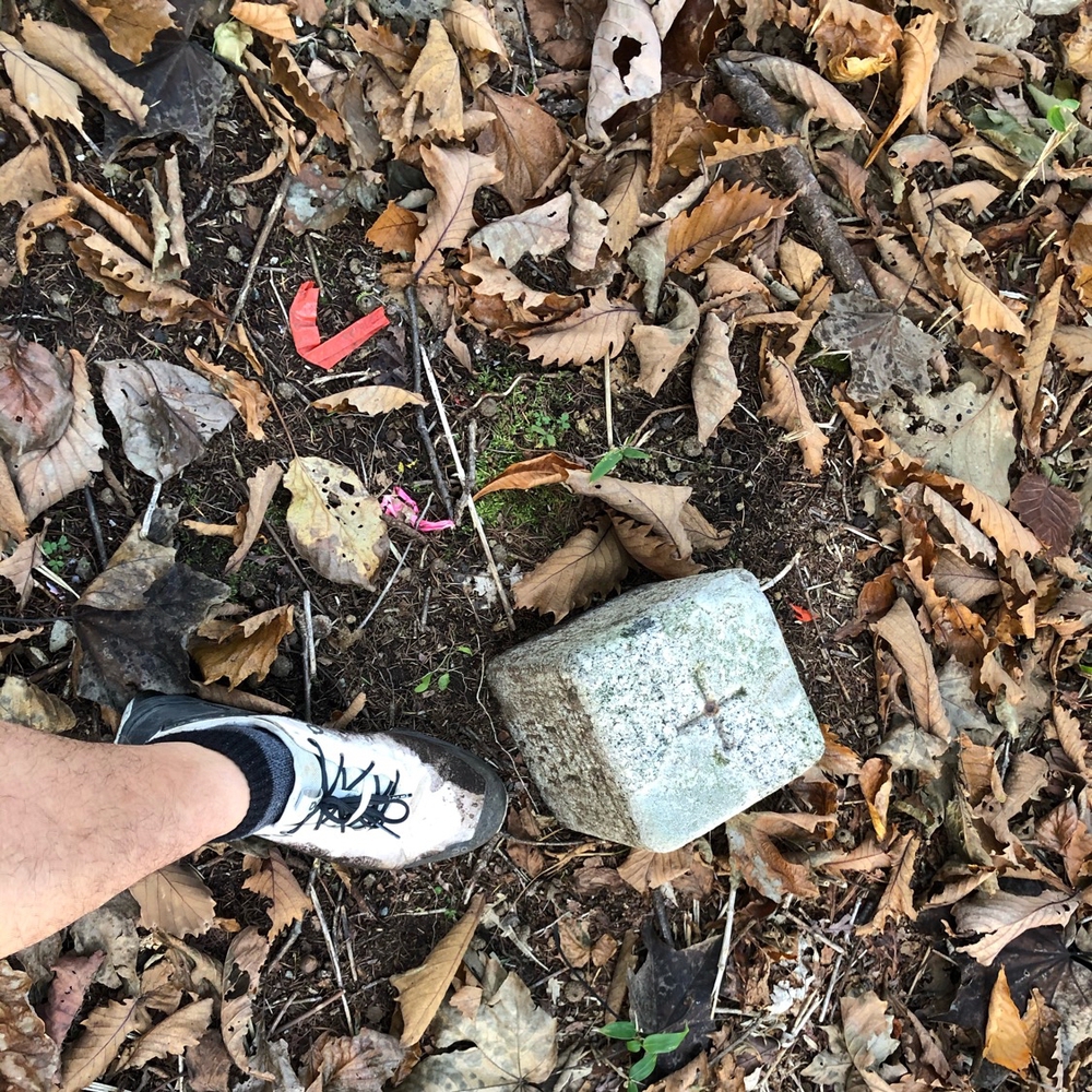 走りやすい里山トレイルの写真3