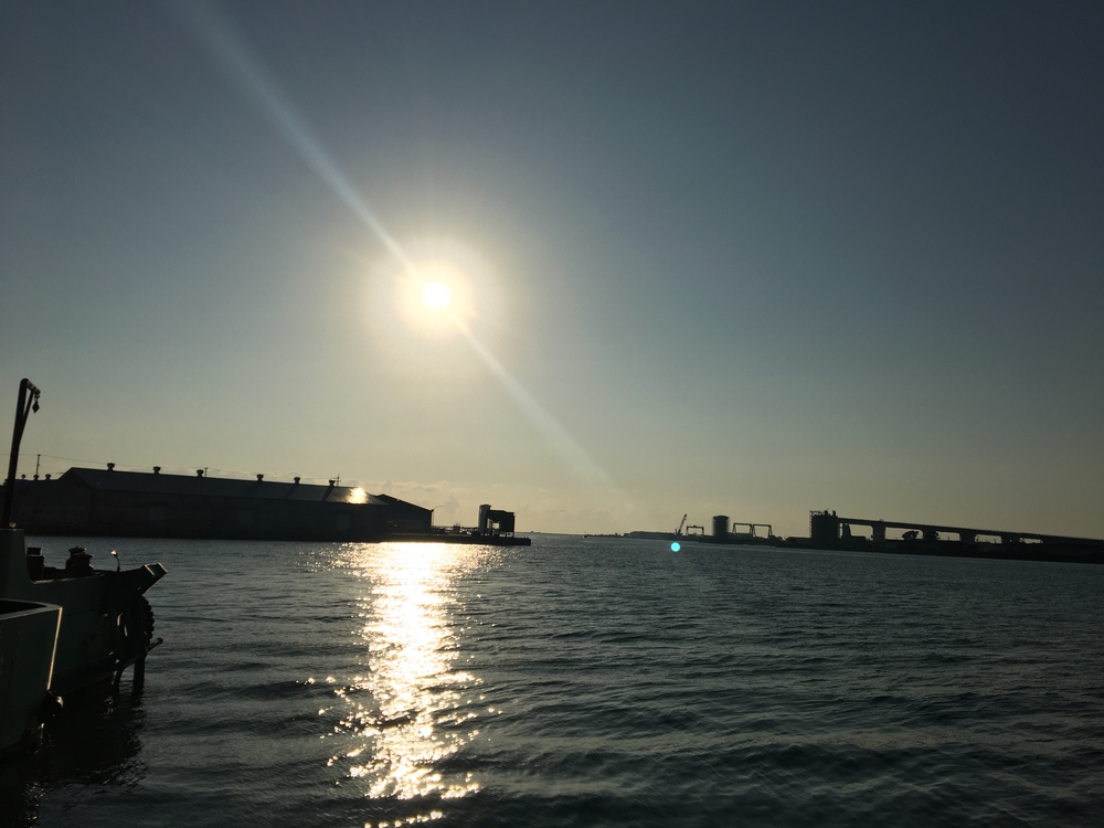 徳島新町川沿いの写真3