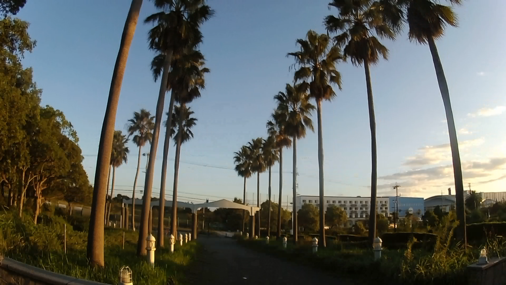 大阪スポーツレジャーアイランド舞洲とＵＳＪを周遊する11キロの写真3