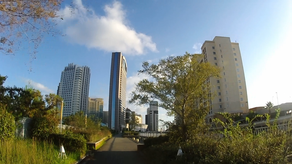 大阪スポーツレジャーアイランド舞洲とＵＳＪを周遊する11キロの写真6