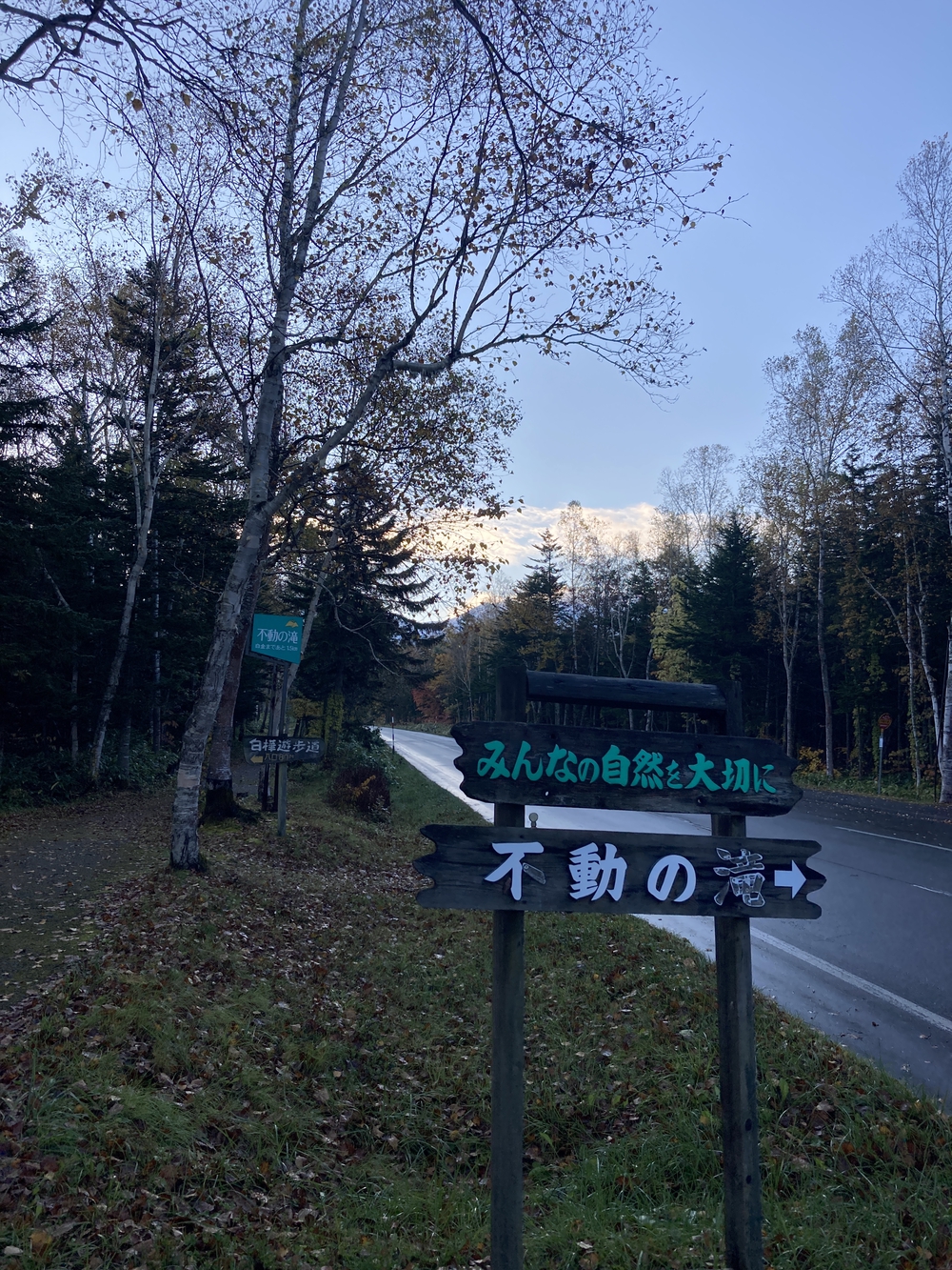 道の駅びえい「白金ビルケ」発着白金周遊コースの写真3