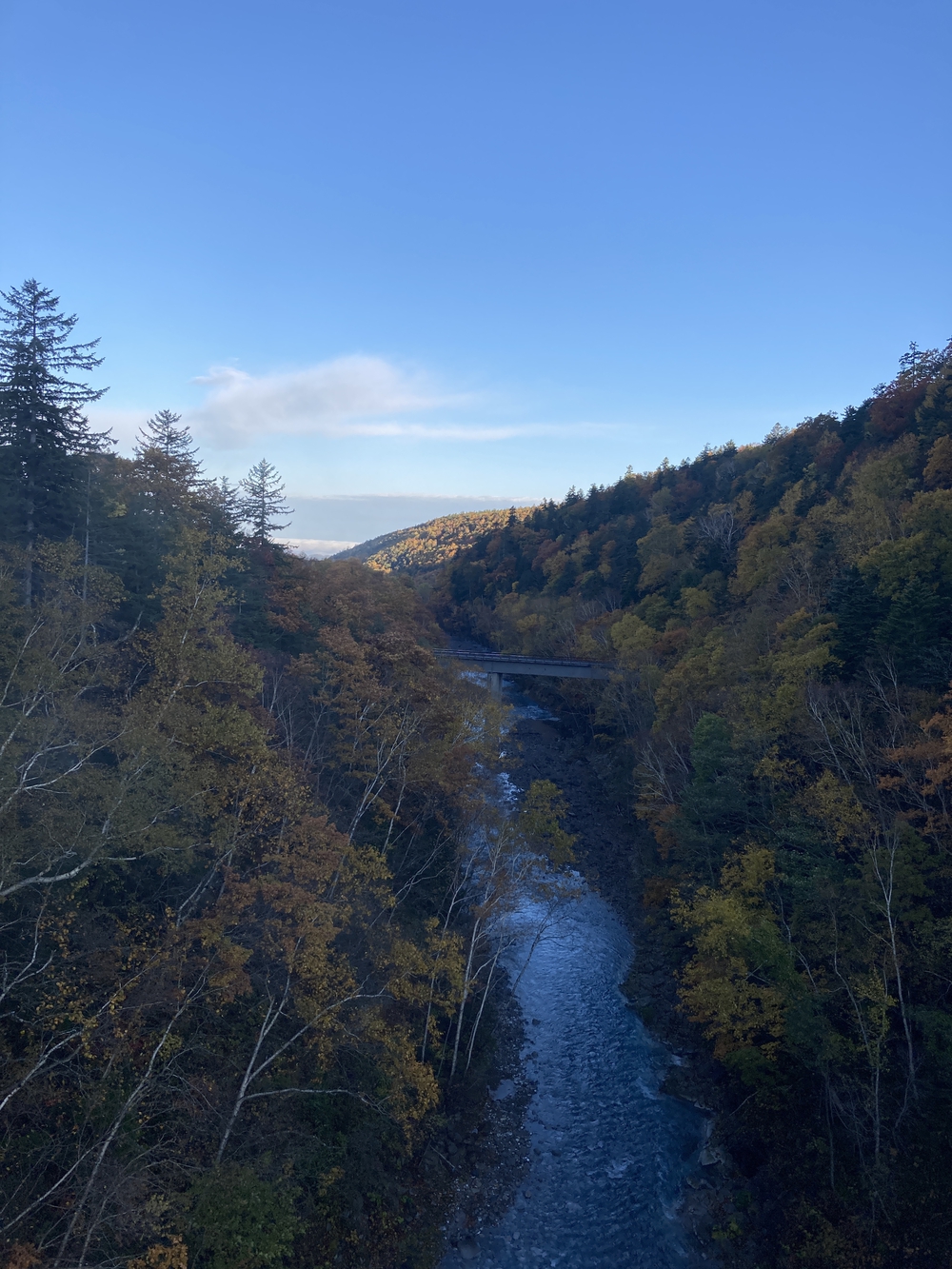 道の駅びえい「白金ビルケ」発着白金周遊コースの写真6