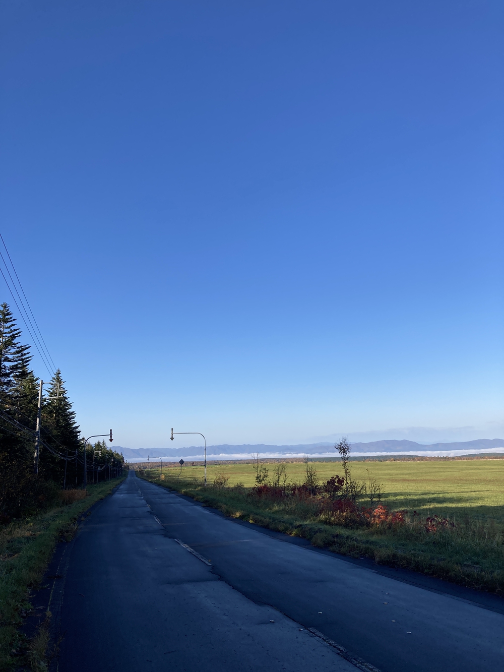 道の駅びえい「白金ビルケ」発着白金周遊コースの写真8