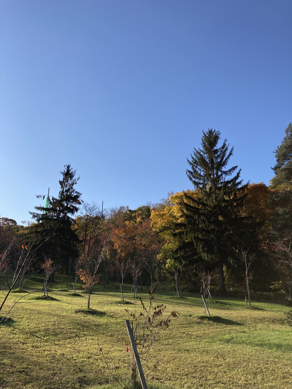 旭山公園周辺散策コースの写真3