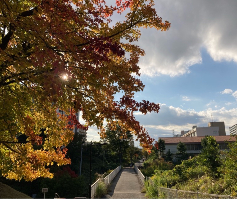 多摩遊歩道の写真4