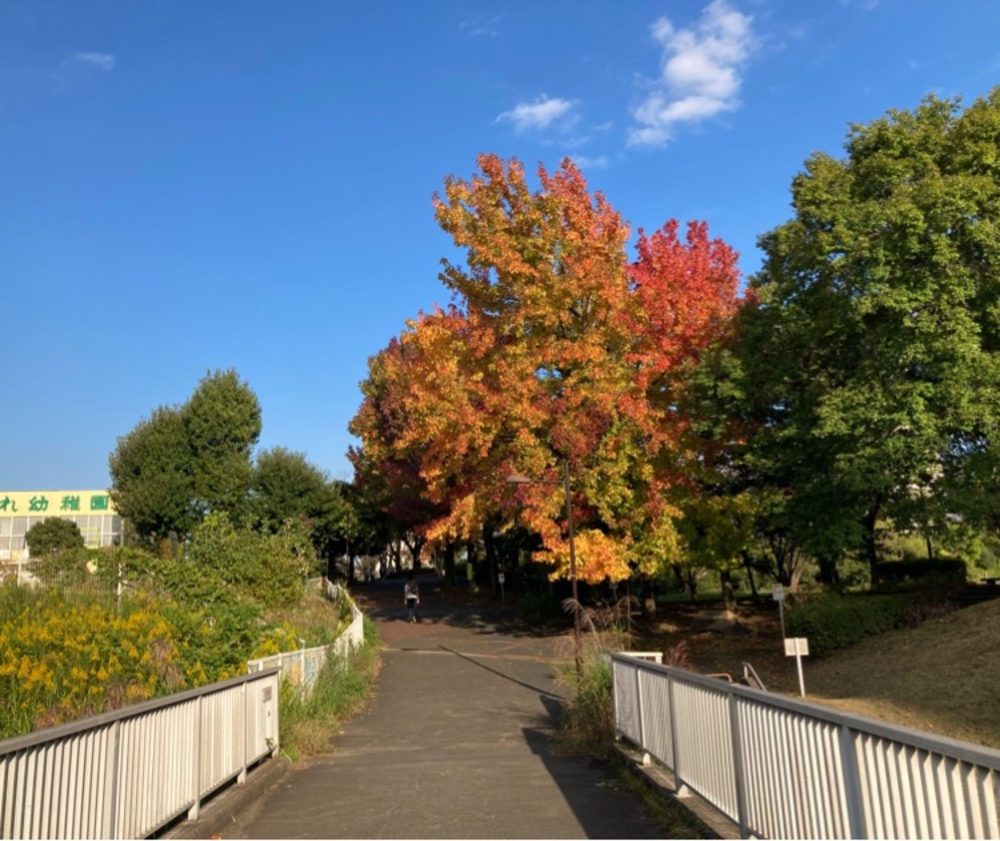 多摩遊歩道の写真7