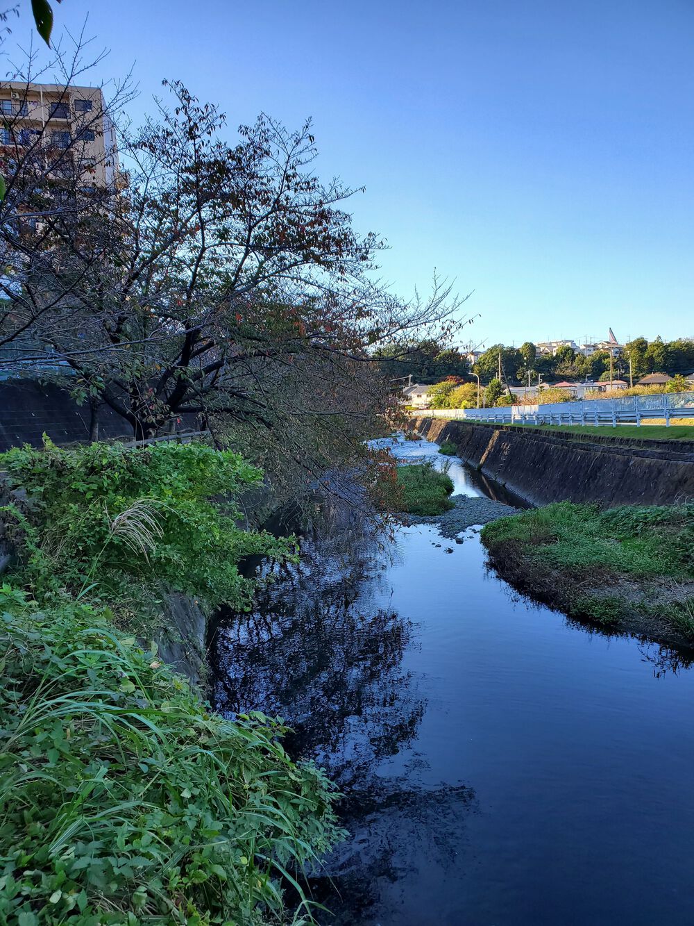 座間市RUN🏃🏃‍♀️💨の写真4