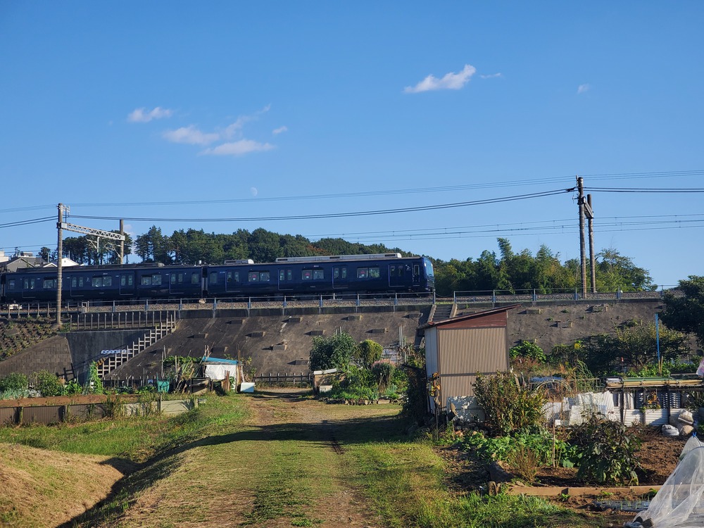 座間市RUN🏃🏃‍♀️💨の写真5