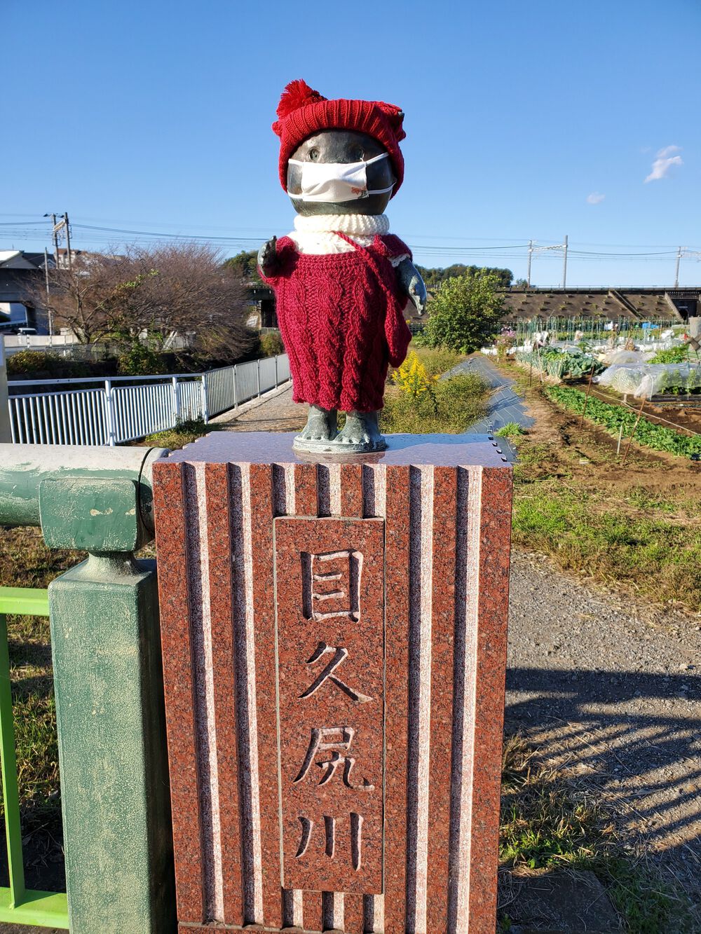 座間市RUN🏃🏃‍♀️💨の写真6