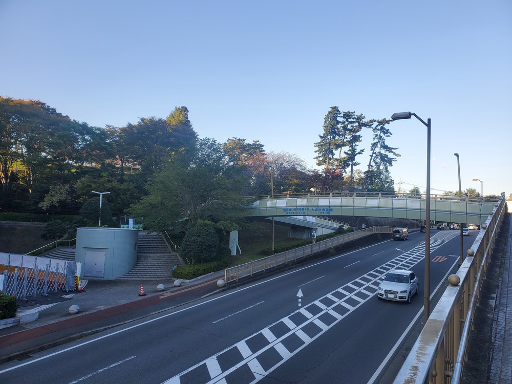 座間市RUN🏃🏃‍♀️💨の写真9