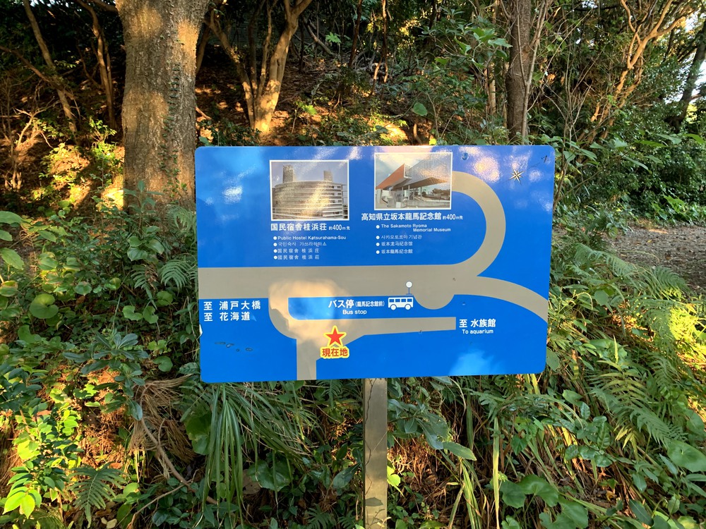 高知市街地発着・桂浜、浦戸大橋をめぐるの写真4