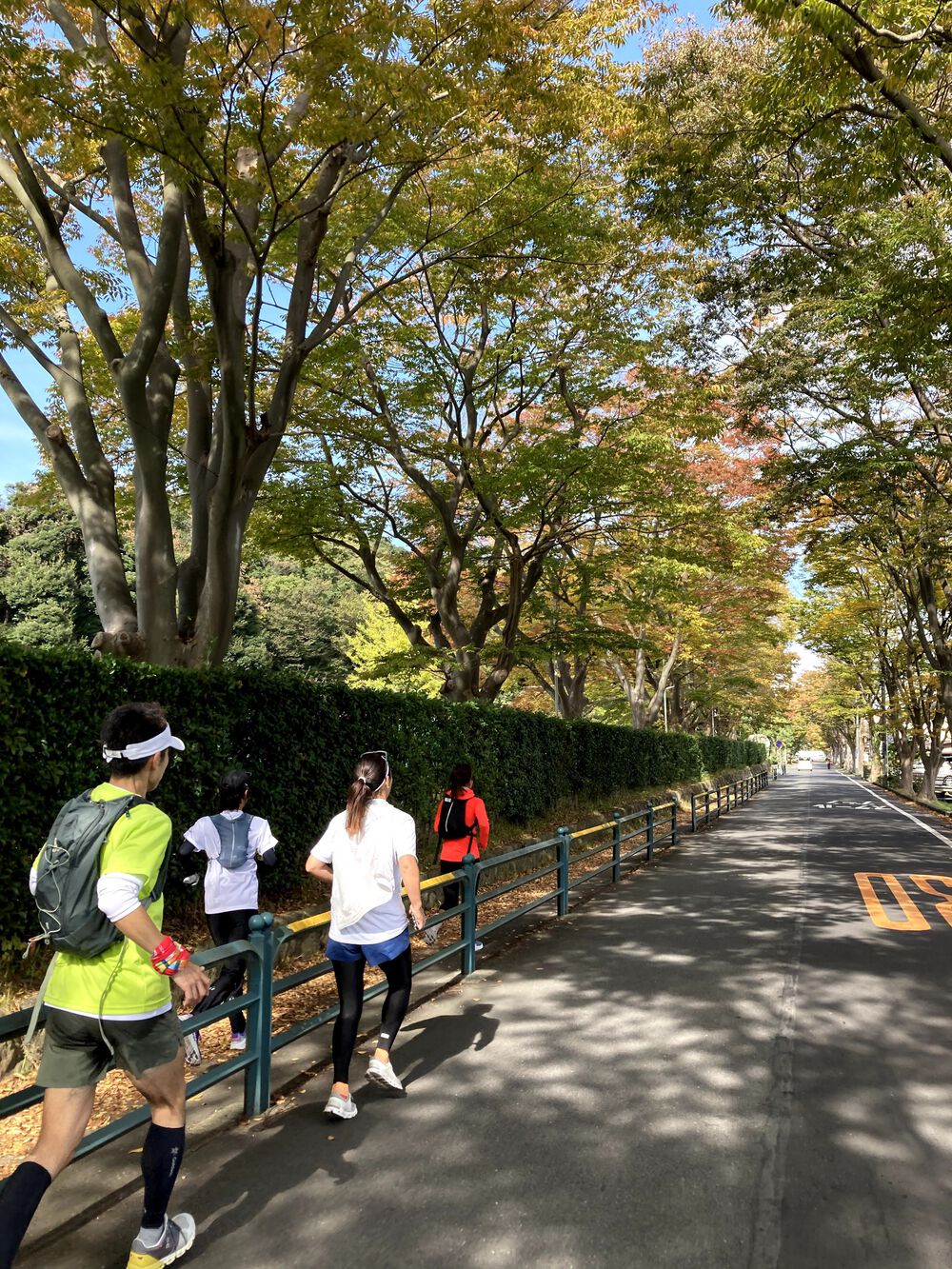 神奈川シーサイドシティマラソンの写真6