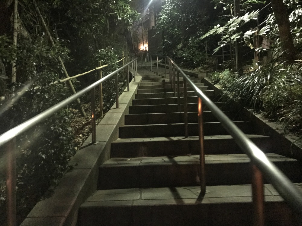 RUNBASEから日枝神社へ！の写真5