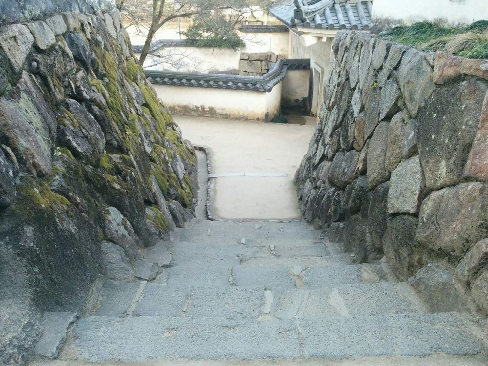 岡山城と後楽園を30分で味わえる出張朝ランコース！の写真5