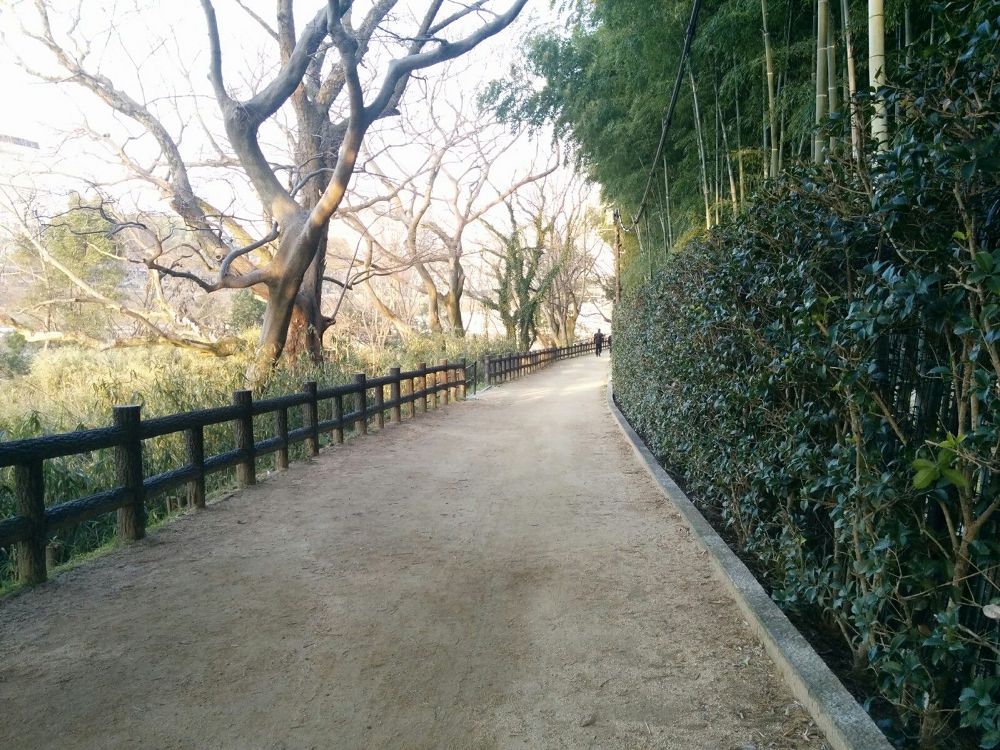 岡山城と後楽園を30分で味わえる出張朝ランコース！の写真6