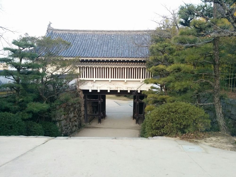 岡山城と後楽園を30分で味わえる出張朝ランコース！の写真8