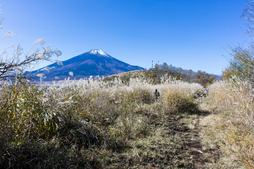 山中湖外周山トレイルラン29Kの写真4