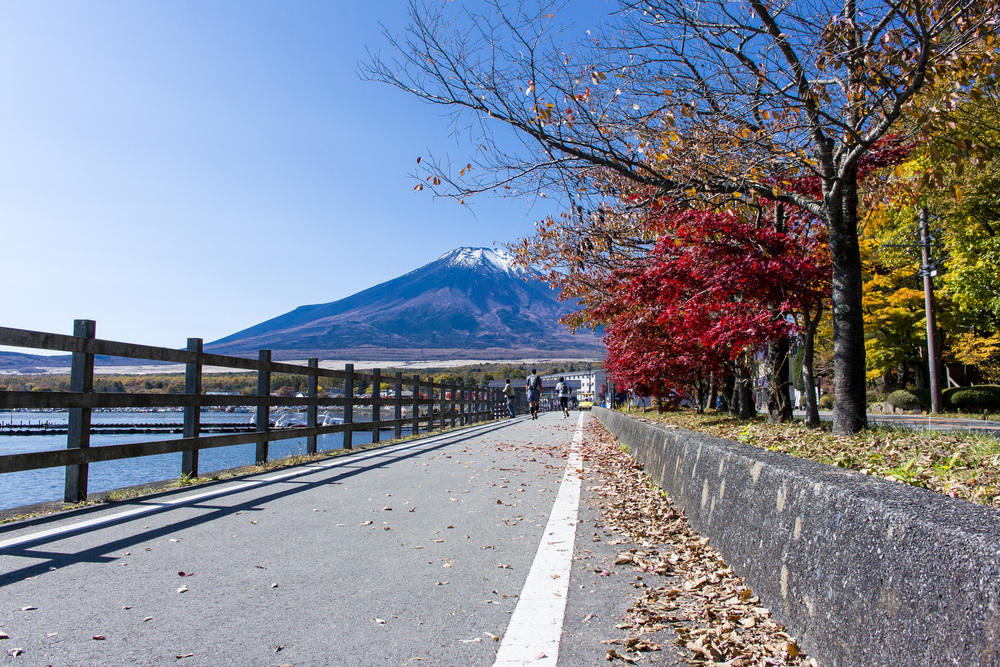 山中湖外周山トレイルラン29K | ラントリップ