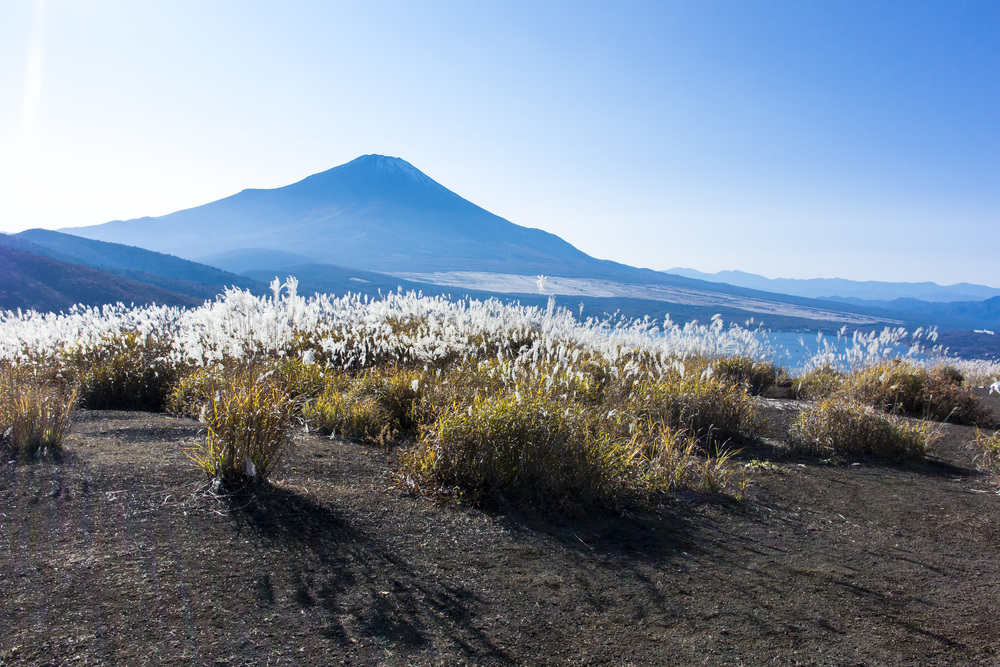山中湖外周山トレイルラン29Kの写真7