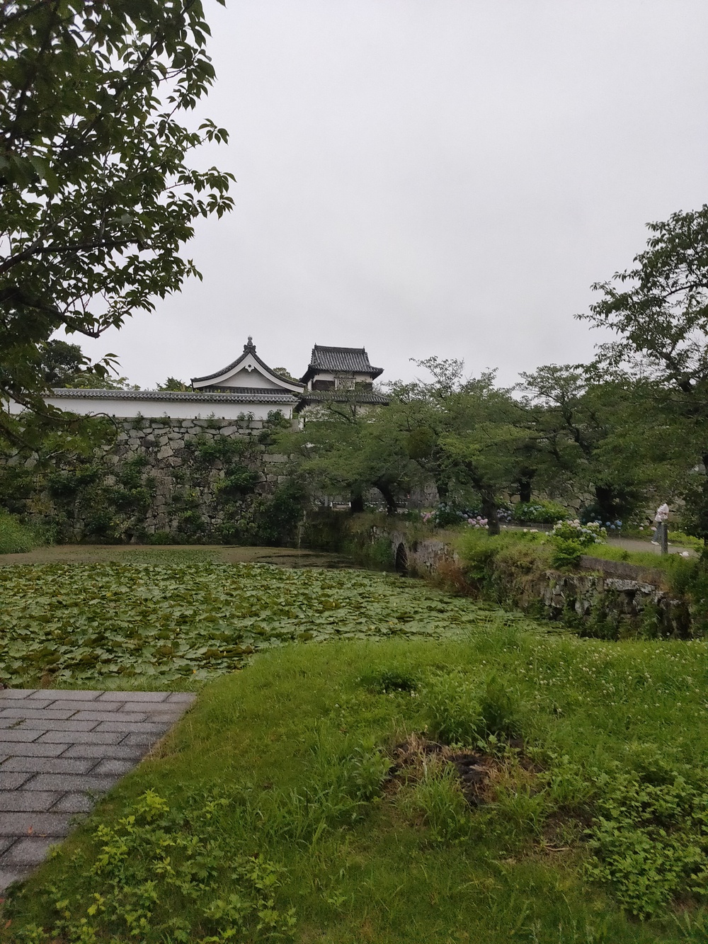 福岡城・大濠公園ランの写真3