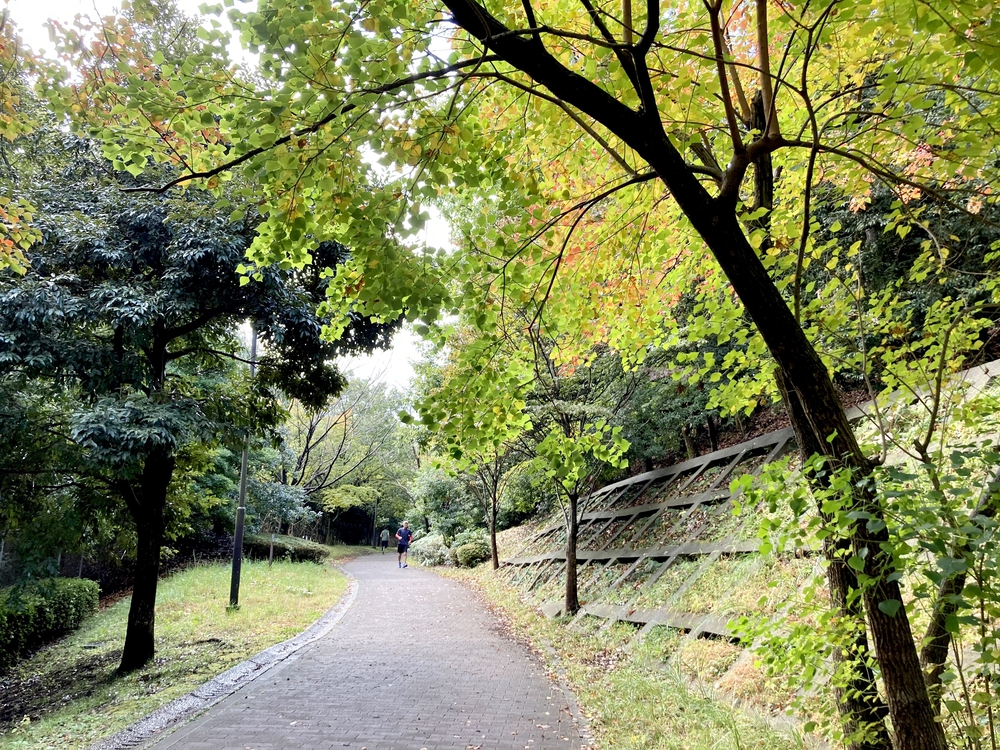 スイーツと自然を堪能する、都筑緑道満喫コースの写真3