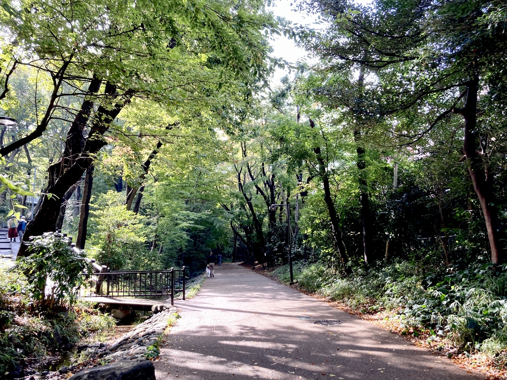 スイーツと自然を堪能する、都筑緑道満喫コースの写真4