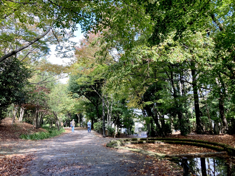 スイーツと自然を堪能する、都筑緑道満喫コースの写真5