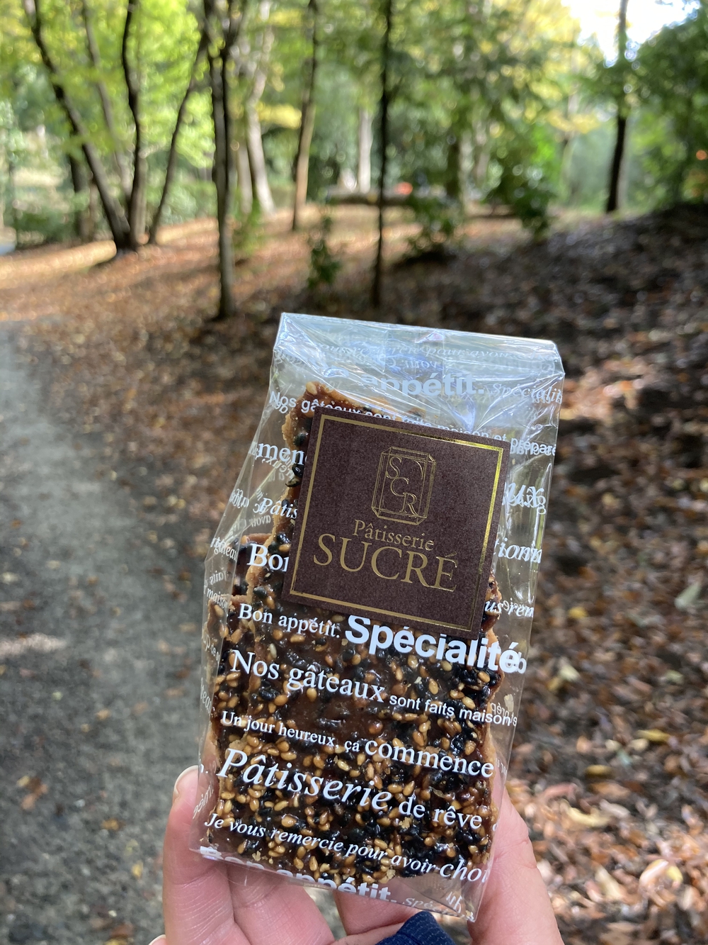 スイーツと自然を堪能する、都筑緑道満喫コースの写真7