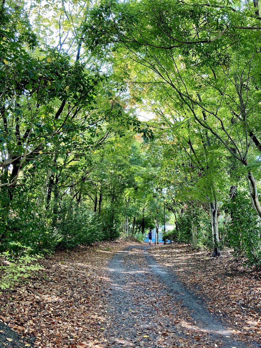 スイーツと自然を堪能する、都筑緑道満喫コースの写真9