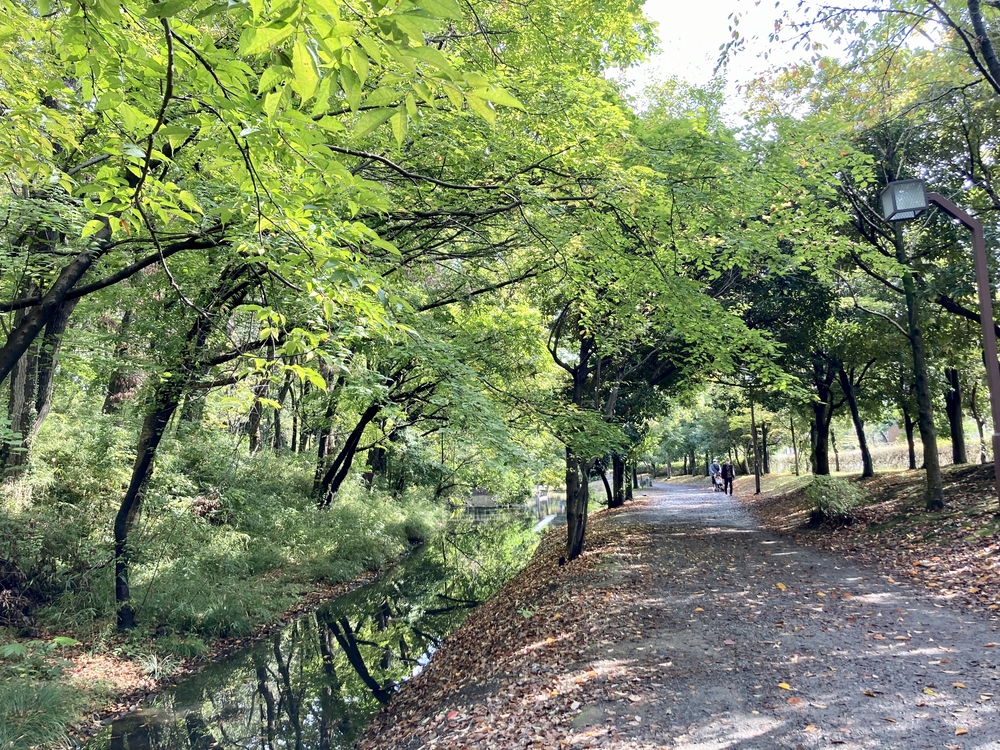 スイーツと自然を堪能する、都筑緑道満喫コースの写真11