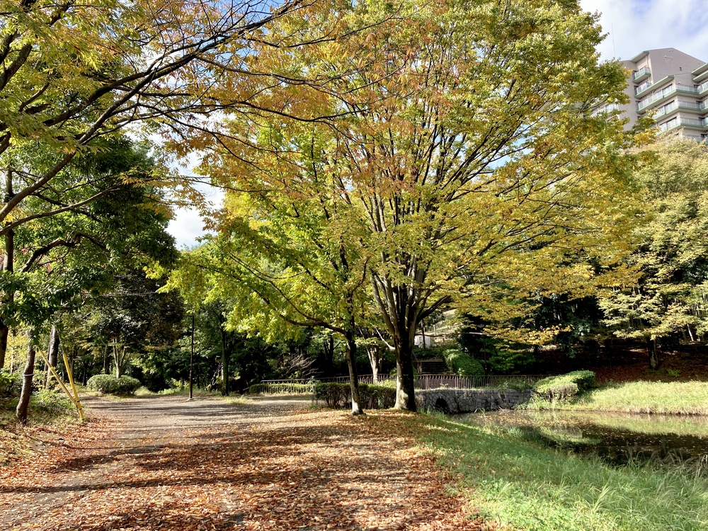 スイーツと自然を堪能する、都筑緑道満喫コースの写真12