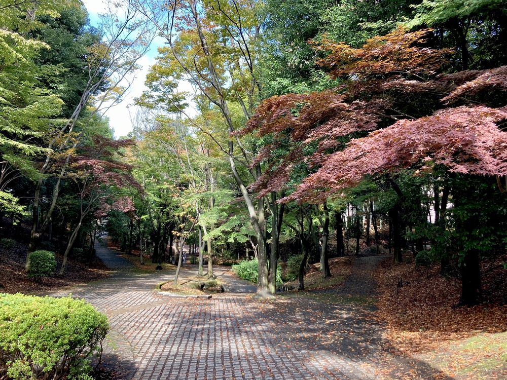 スイーツと自然を堪能する、都筑緑道満喫コースの写真13