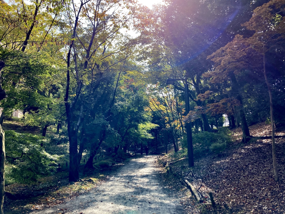 スイーツと自然を堪能する、都筑緑道満喫コースの写真14