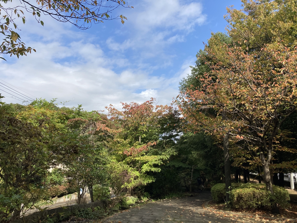 スイーツと自然を堪能する、都筑緑道満喫コースの写真15