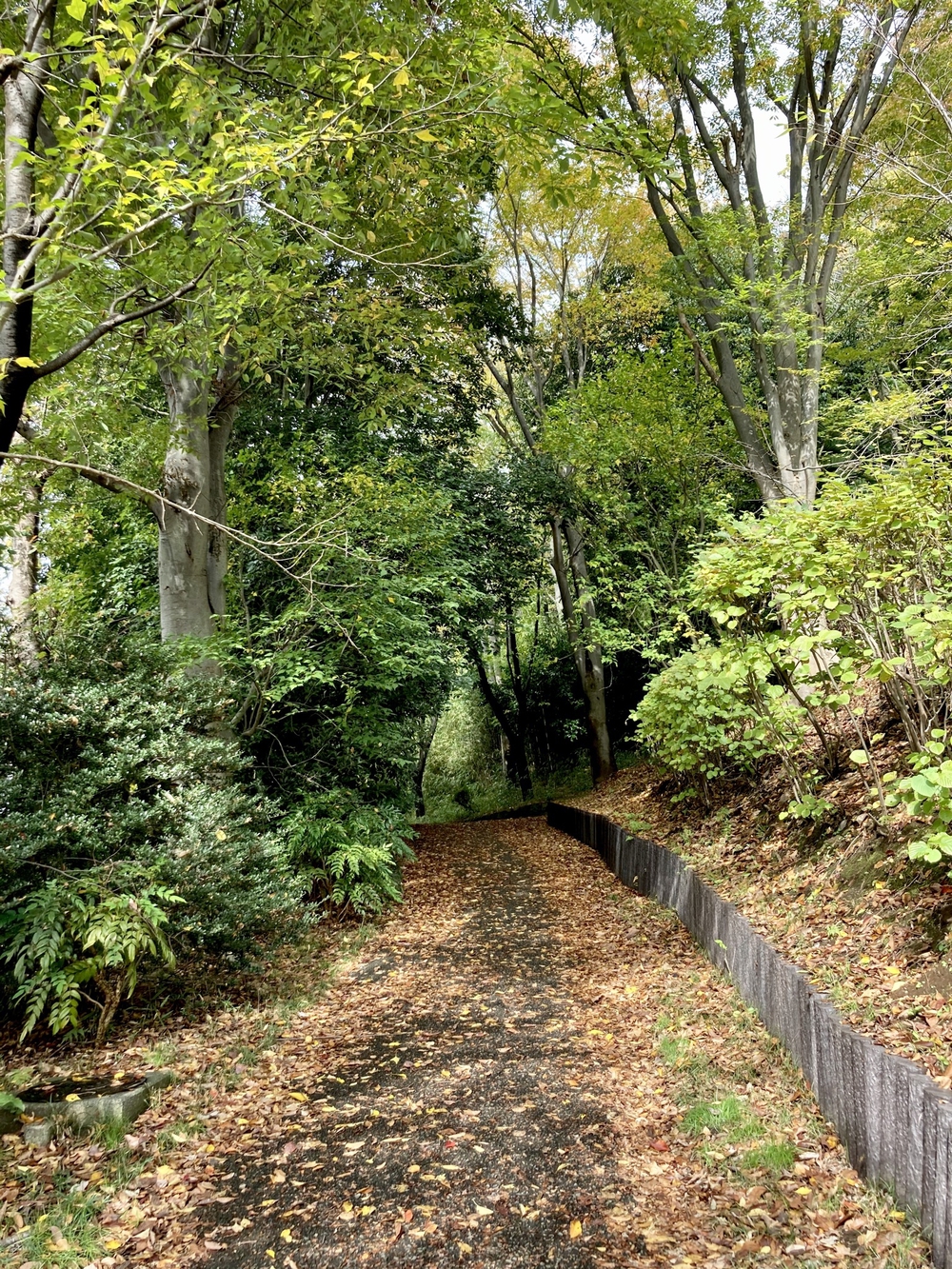 スイーツと自然を堪能する、都筑緑道満喫コースの写真16