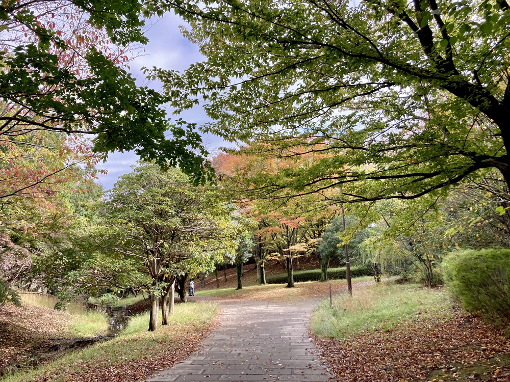 スイーツと自然を堪能する、都筑緑道満喫コースの写真17