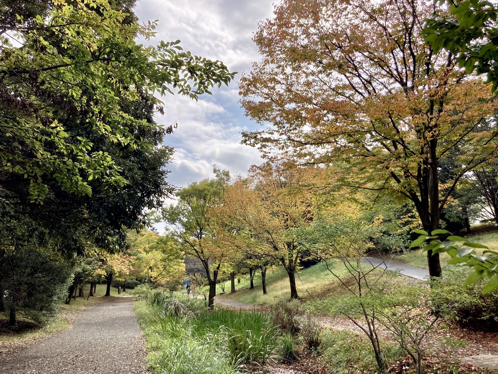 スイーツと自然を堪能する、都筑緑道満喫コースの写真18