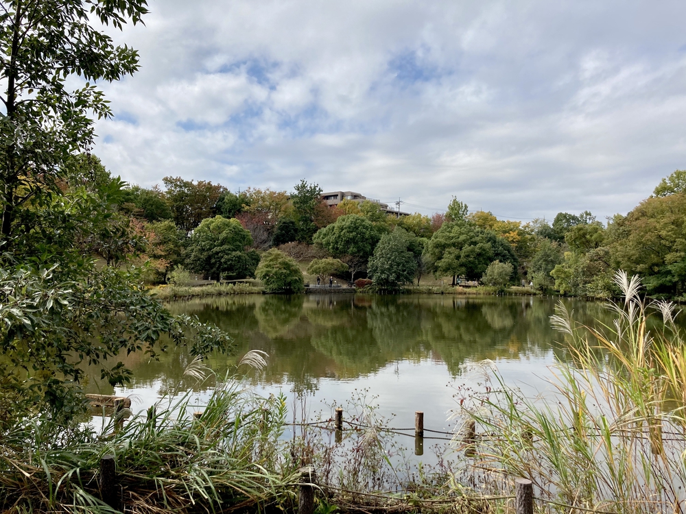 スイーツと自然を堪能する、都筑緑道満喫コースの写真19