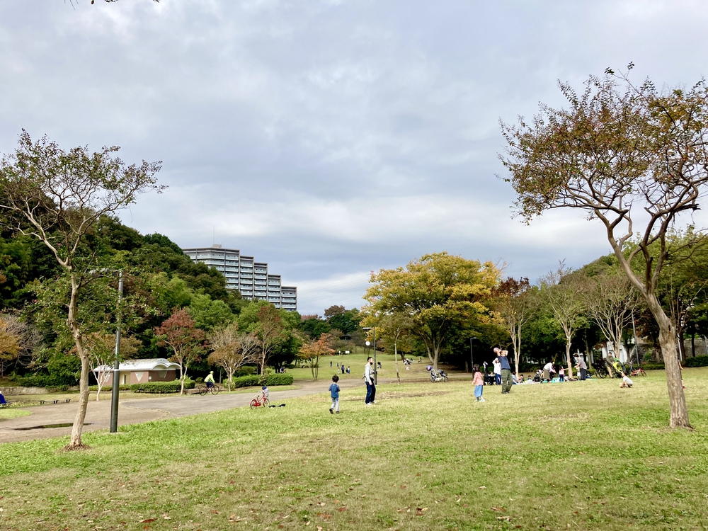 スイーツと自然を堪能する、都筑緑道満喫コースの写真22