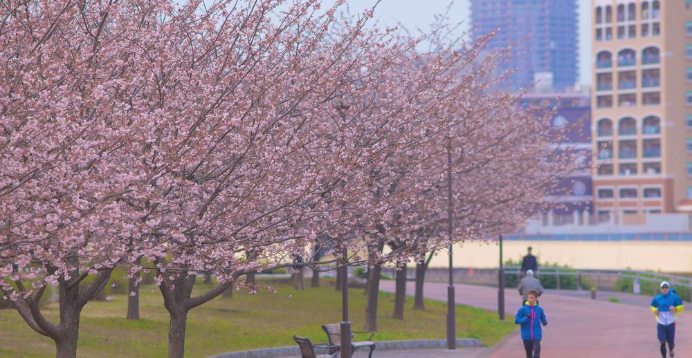 隅田川＆浅草コースの写真4