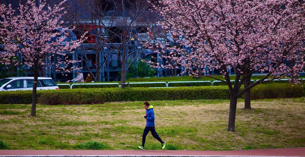 隅田川＆浅草コースの写真5