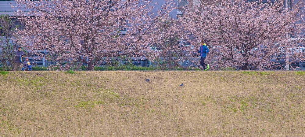 隅田川＆浅草コースの写真6
